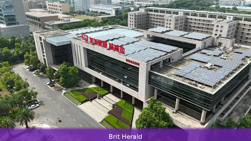 Solar surge pushes Chinese makers into battery storage