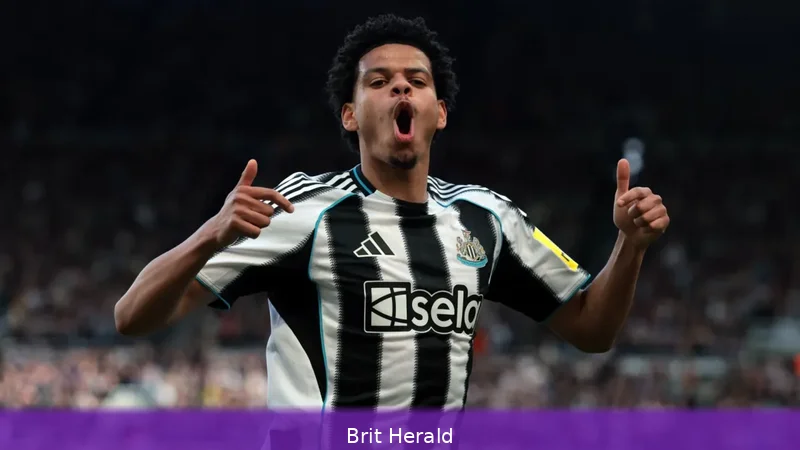 Anthony Gordon exit could force rapid Newcastle rebuild