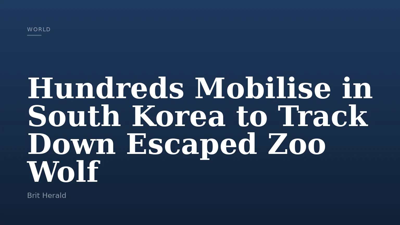 Hundreds Mobilise in South Korea to Track Down Escaped Zoo Wolf